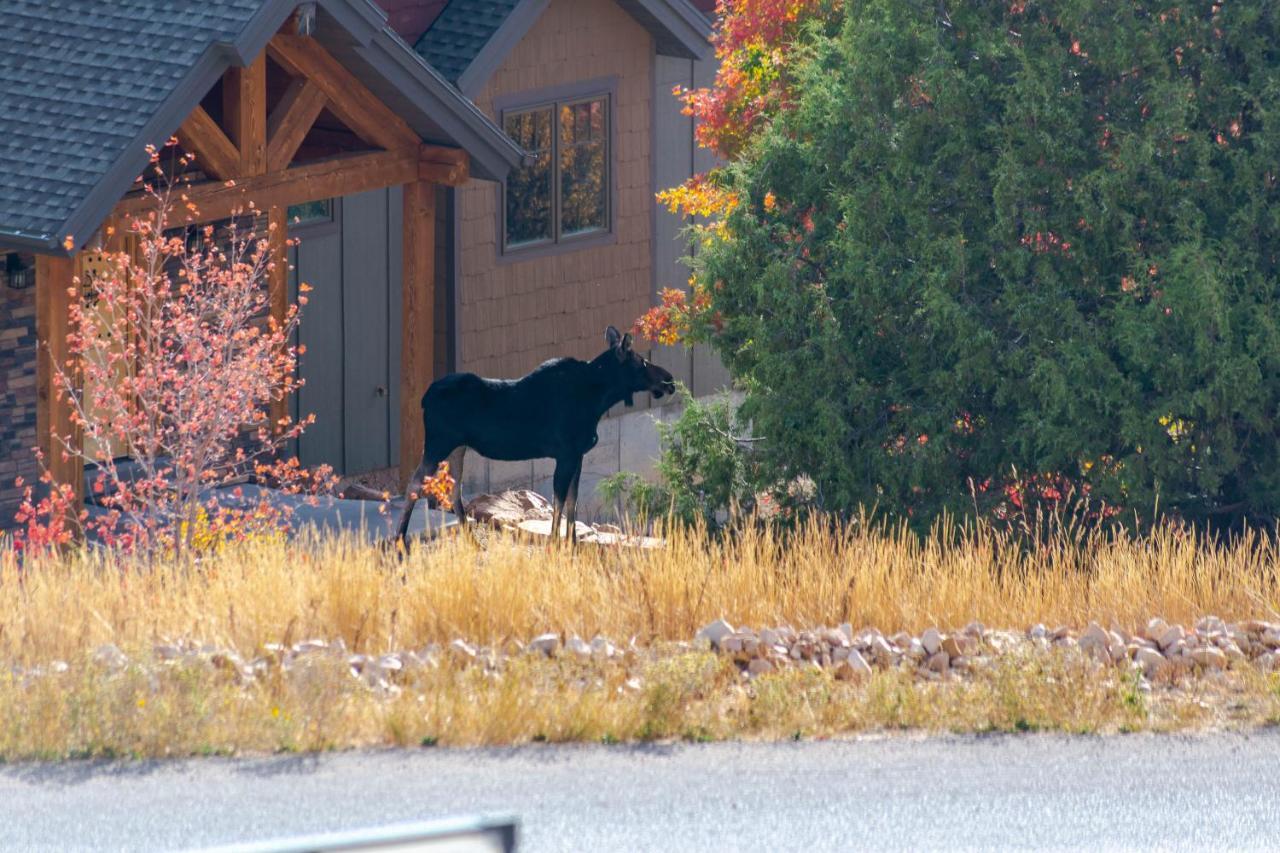 Bear Country Cabin #2 Hotel Saint Charles Exterior foto